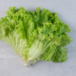 Segarnya Selada: Sayur- mayur Hijau yang Menyegarkan serta Menyehatkan