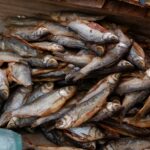 Mencicipi Lezatnya Ikan Asin: Review Lengkap yang Bikin Ketagihan