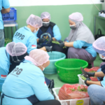 Dapur MBG yang Hidup Di Kala Orang Terlelap Demi Hidangan Bergizi Pagi Hari